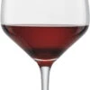 Schott Zwiesel Rotweinglas Taste